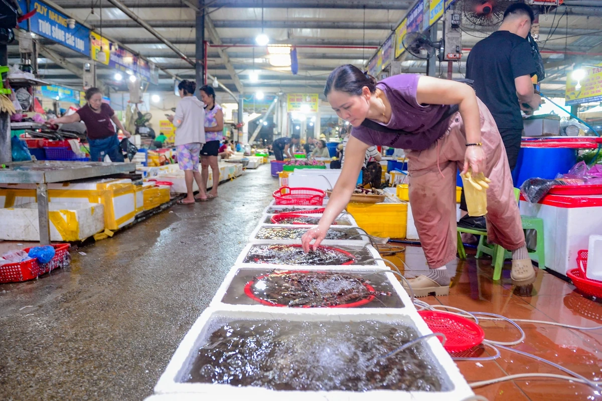 Chợ Cột Đỏ - Thiên đường hải sản giữa lòng phố biển