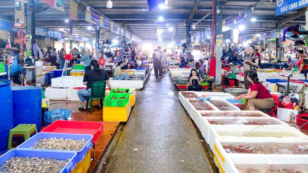 Chợ Cột Đỏ - Thiên đường hải sản giữa lòng phố biển