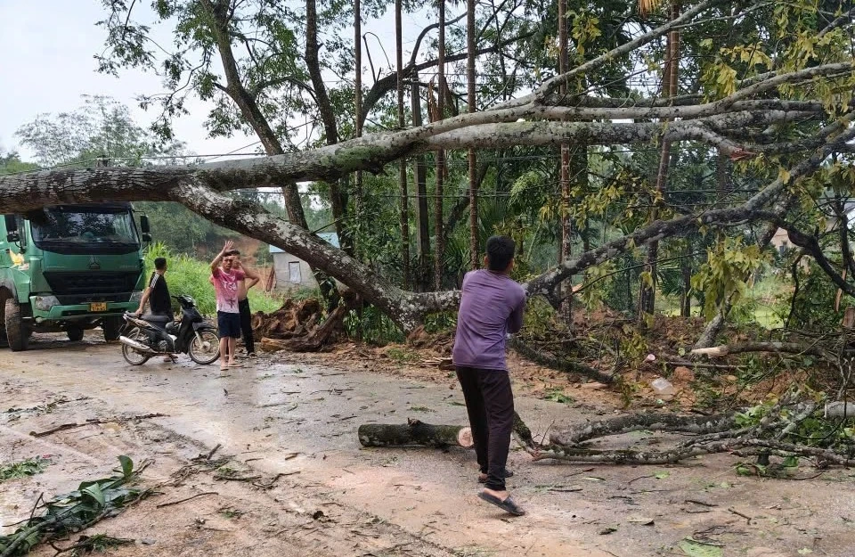 Dông lốc, mưa lớn gây thiệt hại nặng về nhà ở, tài sản và sản xuất của người dân