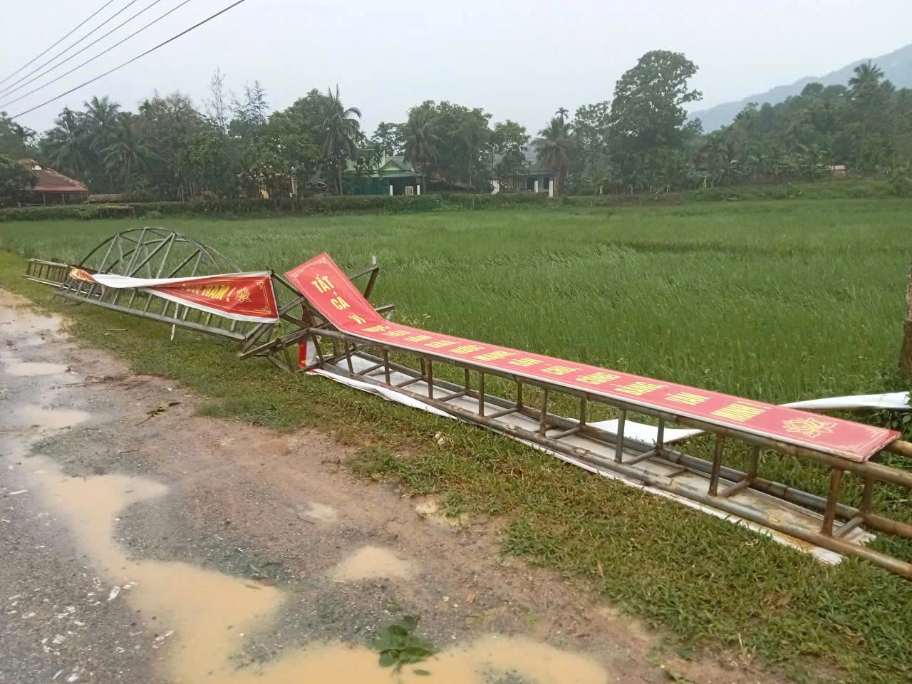 Dông lốc, mưa lớn gây thiệt hại nặng về nhà ở, tài sản và sản xuất của người dân