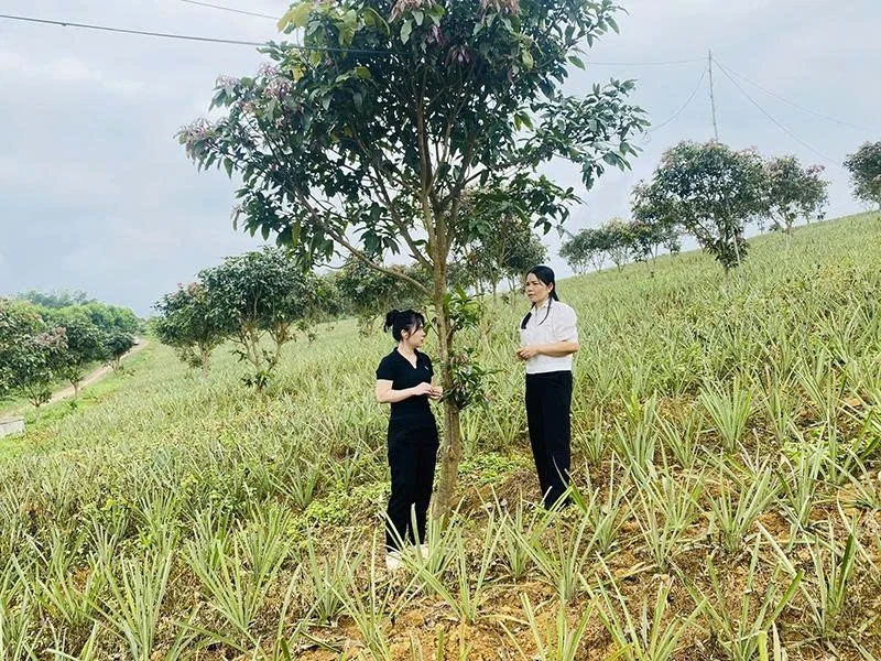 Gỡ khó để xây dựng nông thôn mới ở Linh Sơn