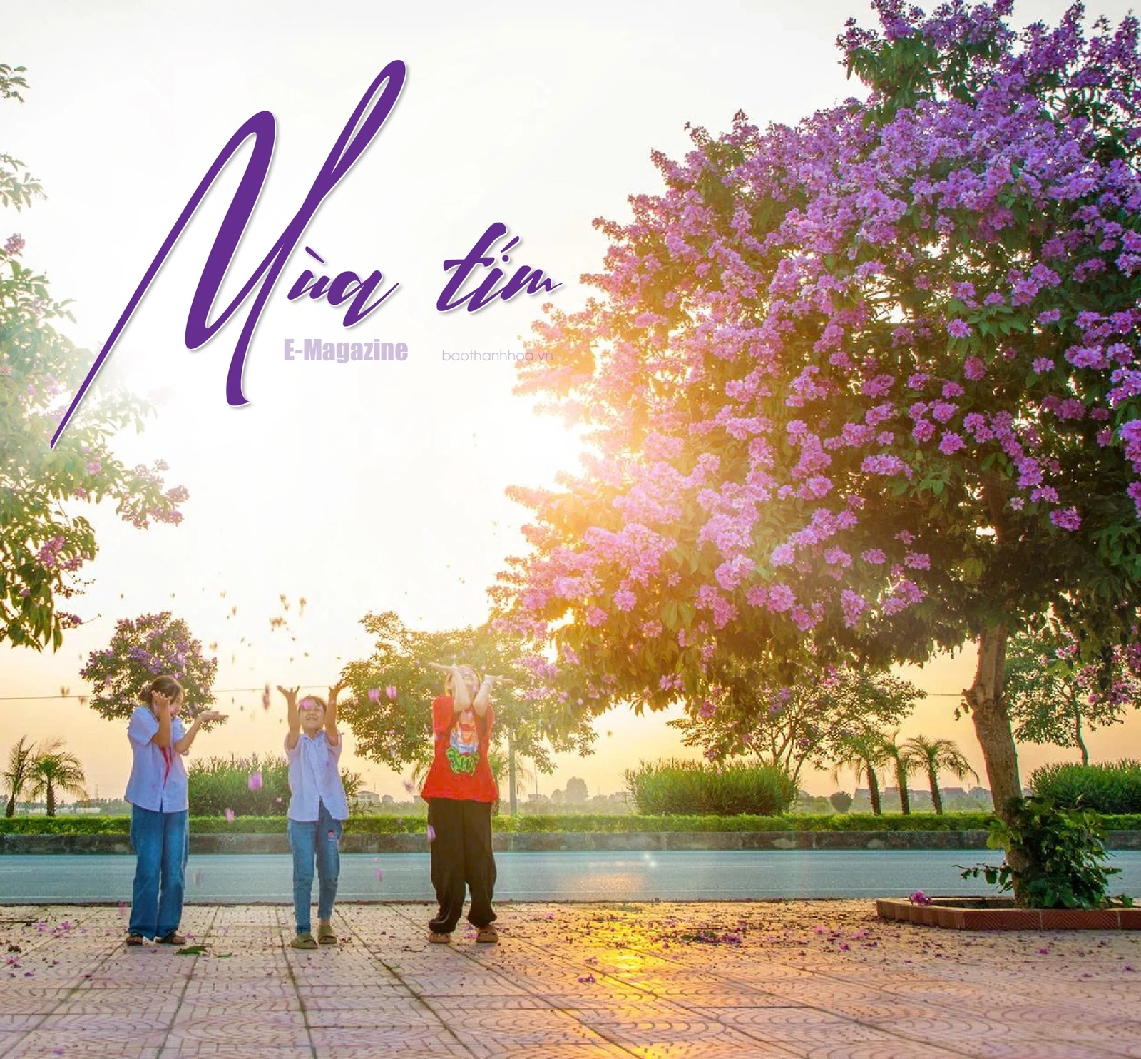 [E-Magazine]: Mùa tím