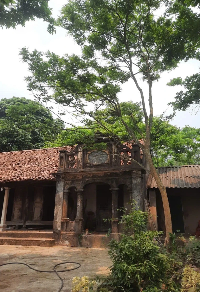 Độc đáo ngôi nhà gỗ lim gần trăm năm tuổi