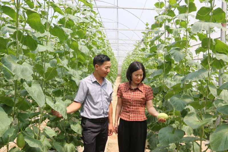 Đảng bộ xã Thiệu Tiến đưa nghị quyết vào cuộc sống