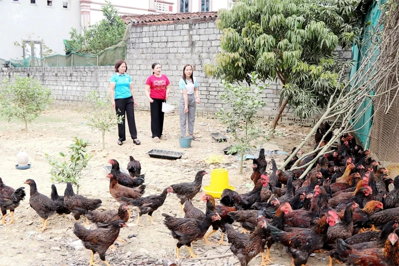 Duy trì nguồn lực hỗ trợ để phát triển