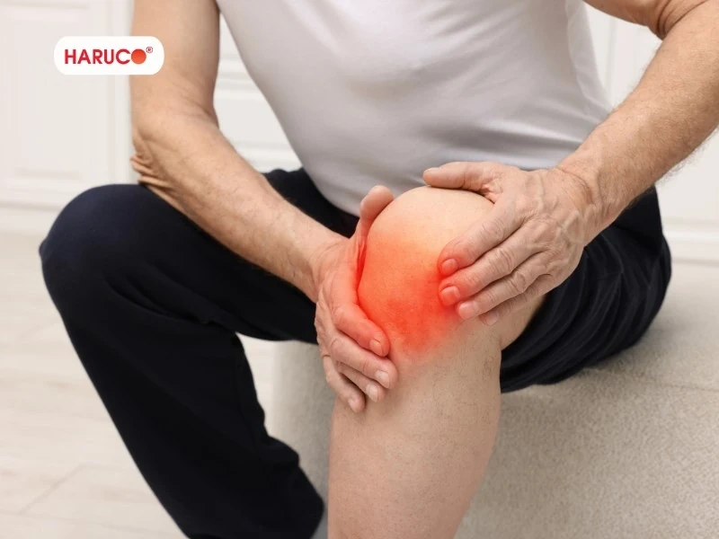 Đau khớp gối nên dùng gì? Gợi ý sản phẩm hỗ trợ từ Haruco