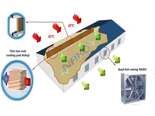 Làm mát nhà xưởng diện tích lớn với chi phí vận hành chỉ bằng 1/10 máy lạnh