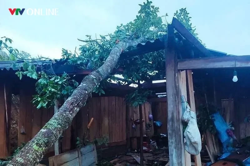 Dông lốc, mưa đá liên tục: Chuyên gia lý giải nguyên nhân