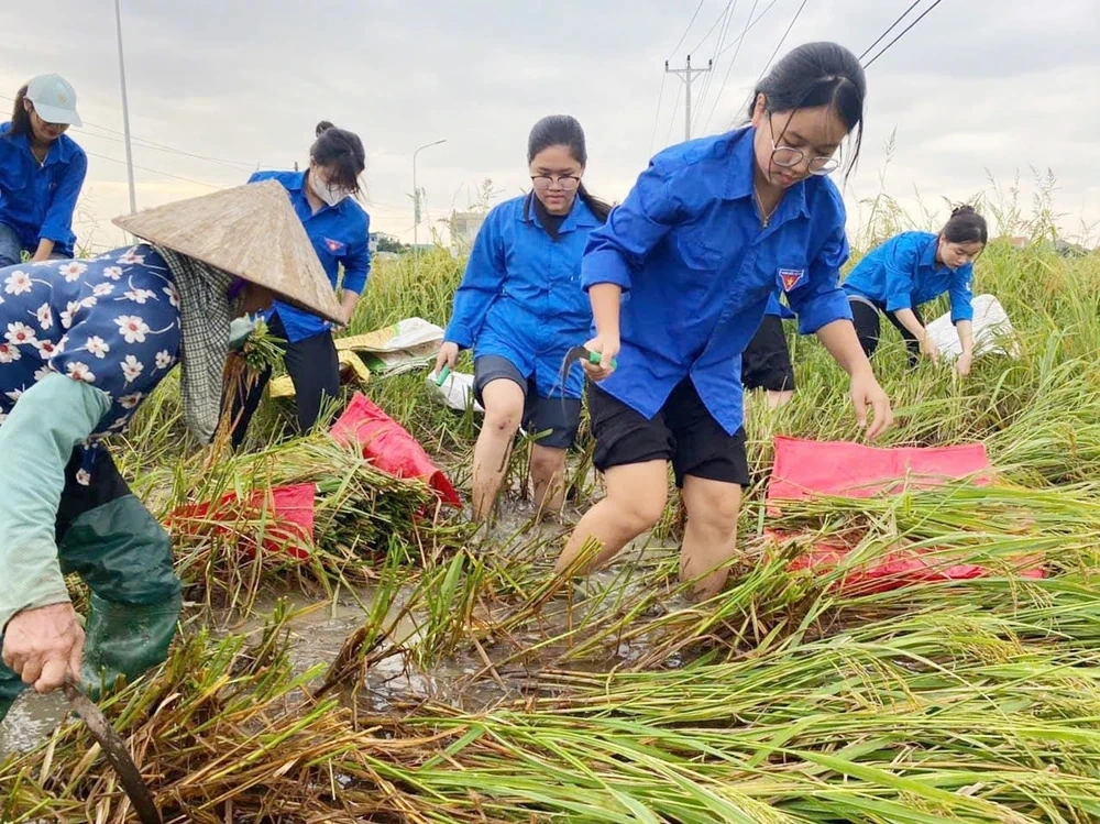 Thanh Hóa bổ sung hơn 6,3 tỷ đồng hỗ trợ khôi phục sản xuất nông nghiệp sau bão