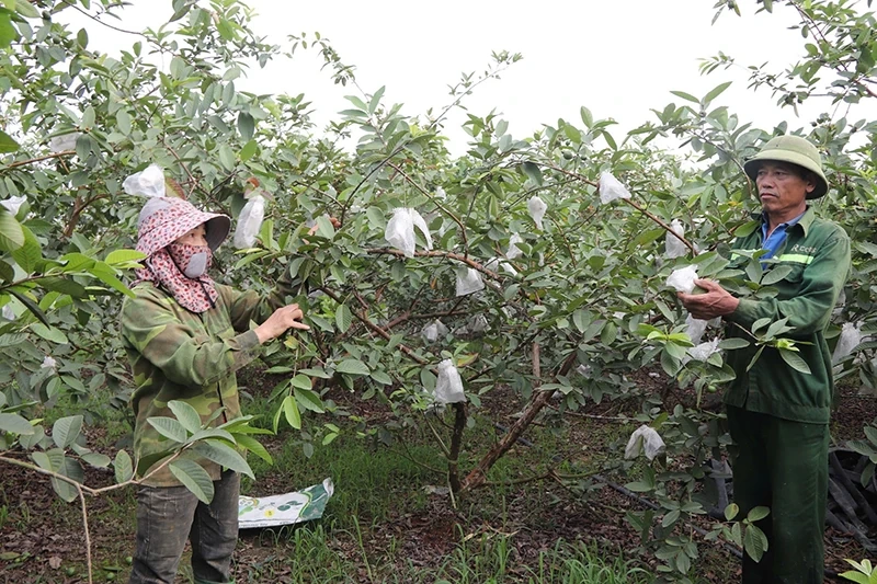 Nhận diện lợi thế, xác định hướng đi đúng để Yên Phú phát triển