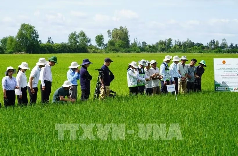 Đã có 32 địa phương hoàn thành sắp xếp, kiện toàn trung tâm khuyến nông cấp tỉnh
