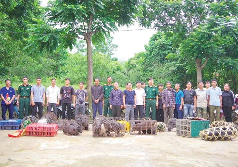 “Cầm tay chỉ việc” nơi vùng đất khó