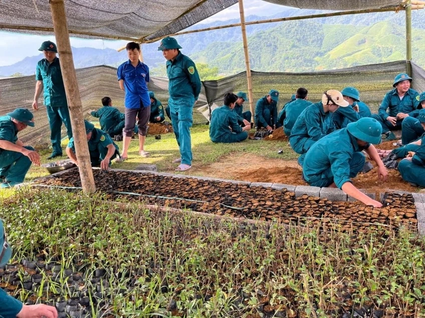 Thanh Quân: Lan tỏa nghĩa tình quân dân từ những việc làm thiết thực