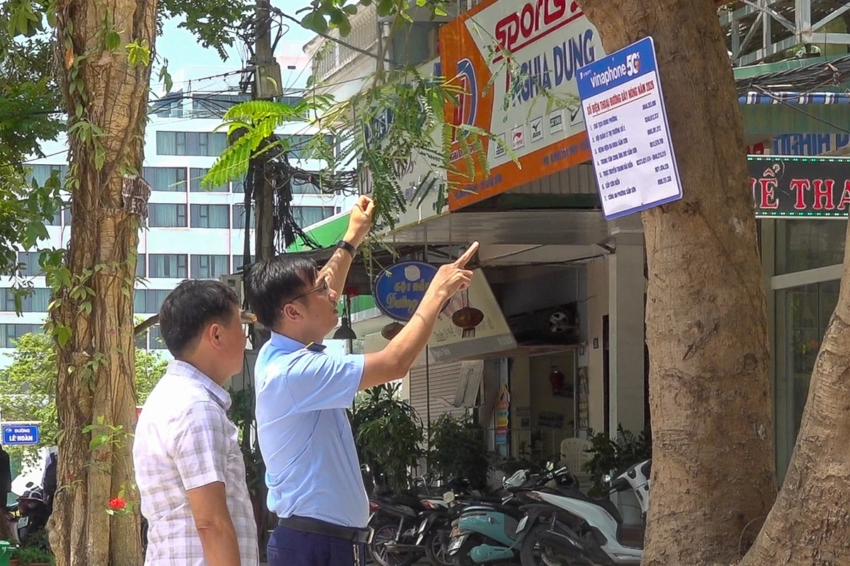 Lắp cân đối chứng tại các chợ hải sản ở Sầm Sơn
