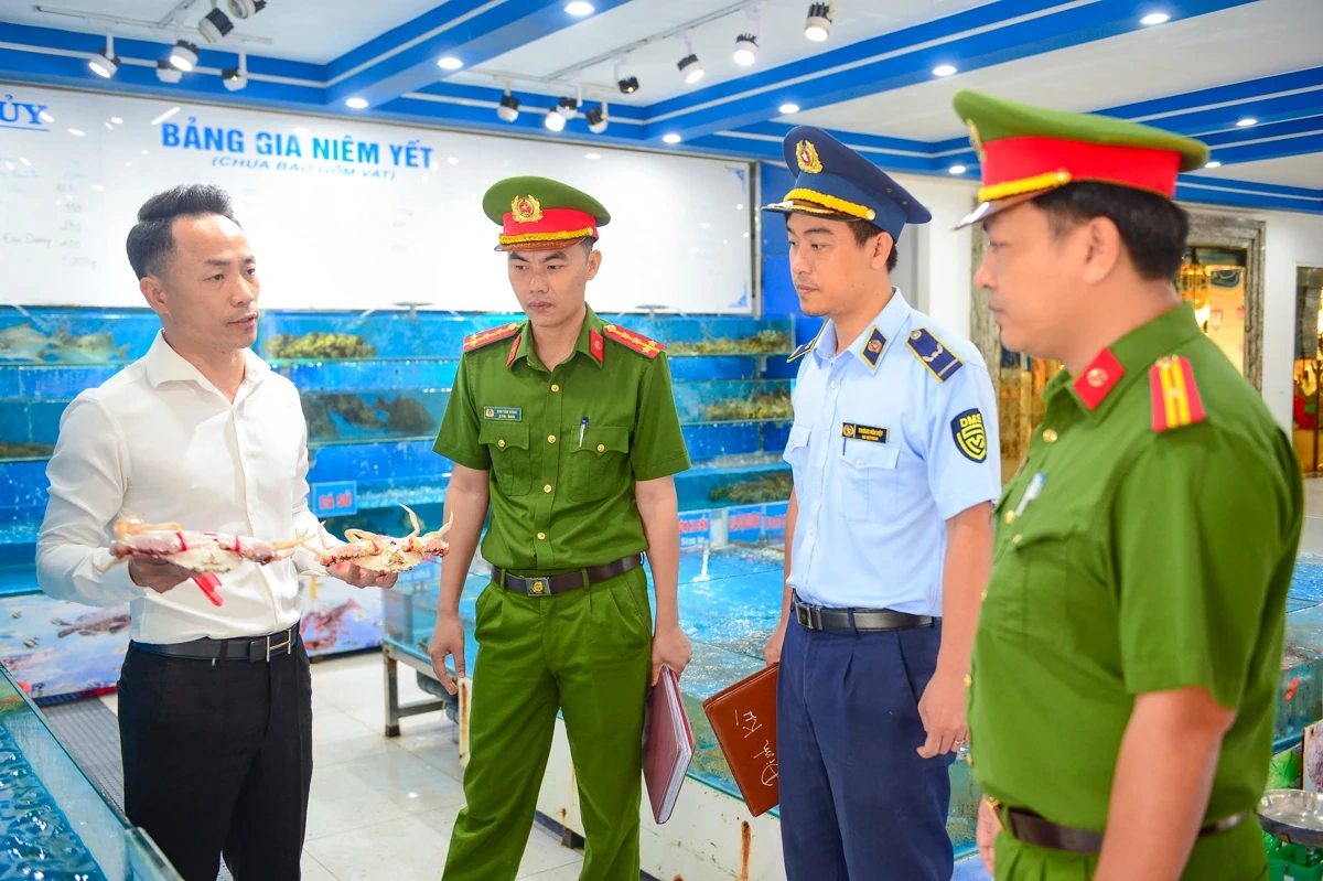 Lắp cân đối chứng tại các chợ hải sản ở Sầm Sơn