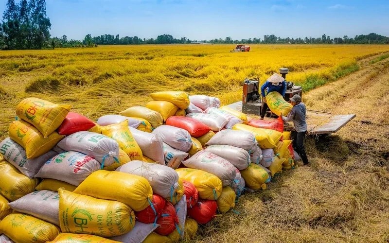 ASEAN chuyển hướng ưu tiên chiến lược giữa bất ổn toàn cầu