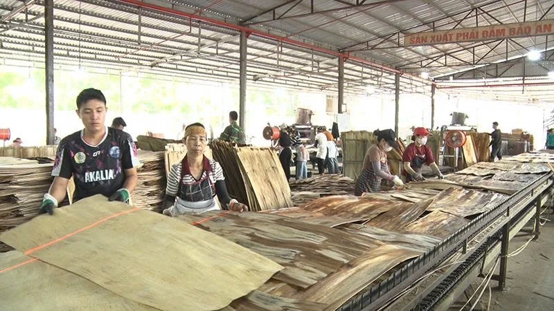 Tăng tốc phát triển doanh nghiệp