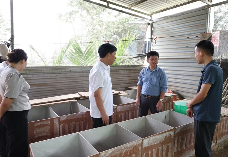 Trung Hạ phát triển các mô hình kinh tế chăn nuôi