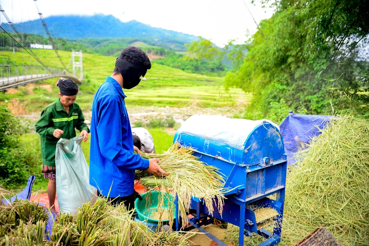 Mùa vàng theo chân người dân vùng cao về bản