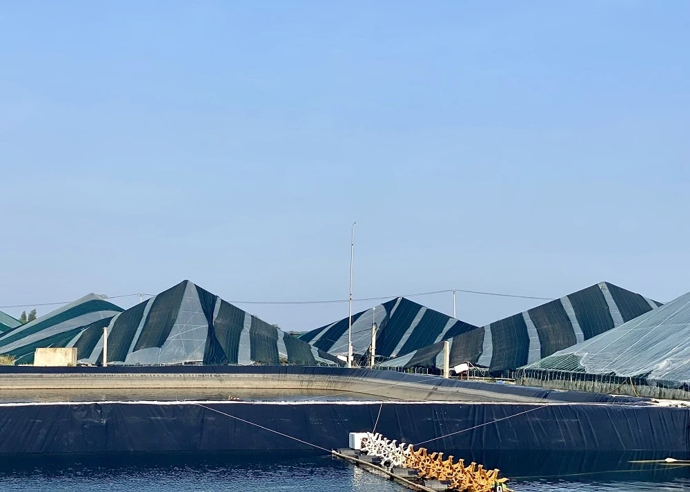 Chủ động ứng phó với nắng nóng, bảo vệ diện tích nuôi trồng thủy sản