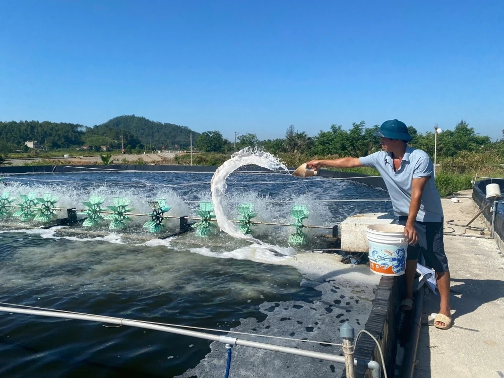 Chủ động ứng phó với nắng nóng, bảo vệ diện tích nuôi trồng thủy sản