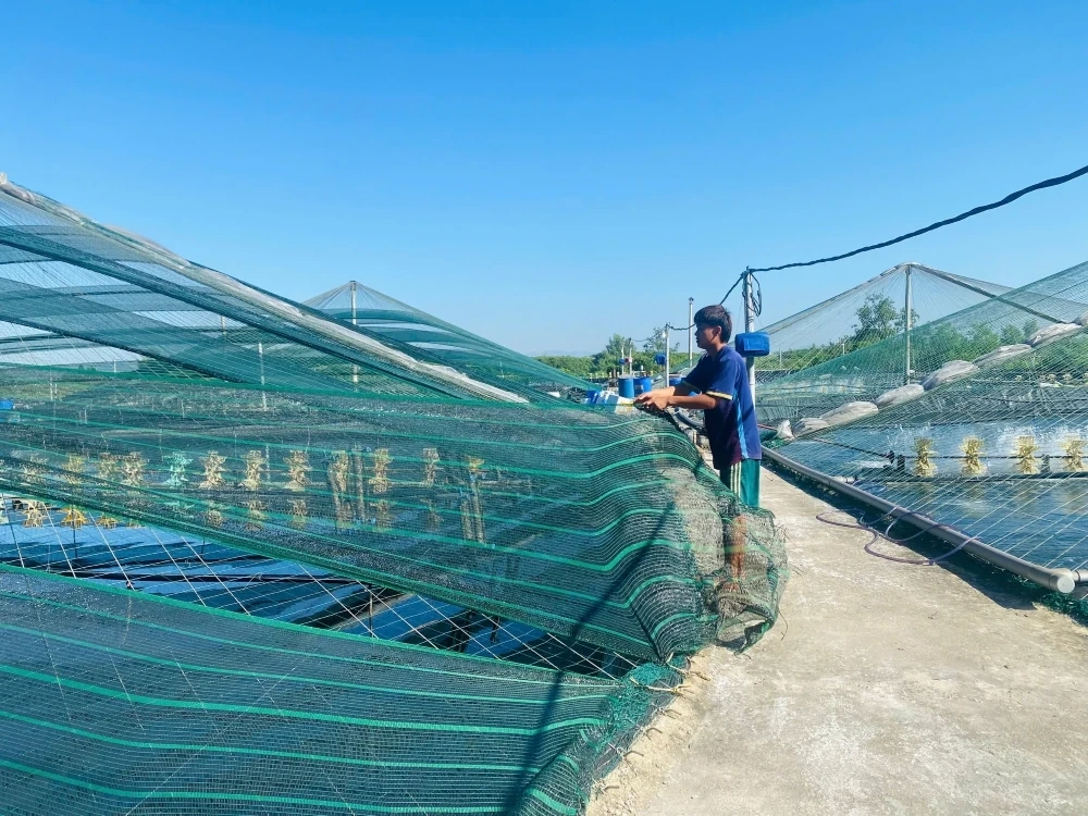 Chủ động ứng phó với nắng nóng, bảo vệ diện tích nuôi trồng thủy sản