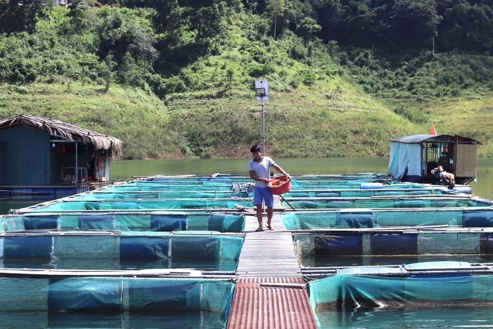 Chủ động ứng phó với nắng nóng, bảo vệ diện tích nuôi trồng thủy sản