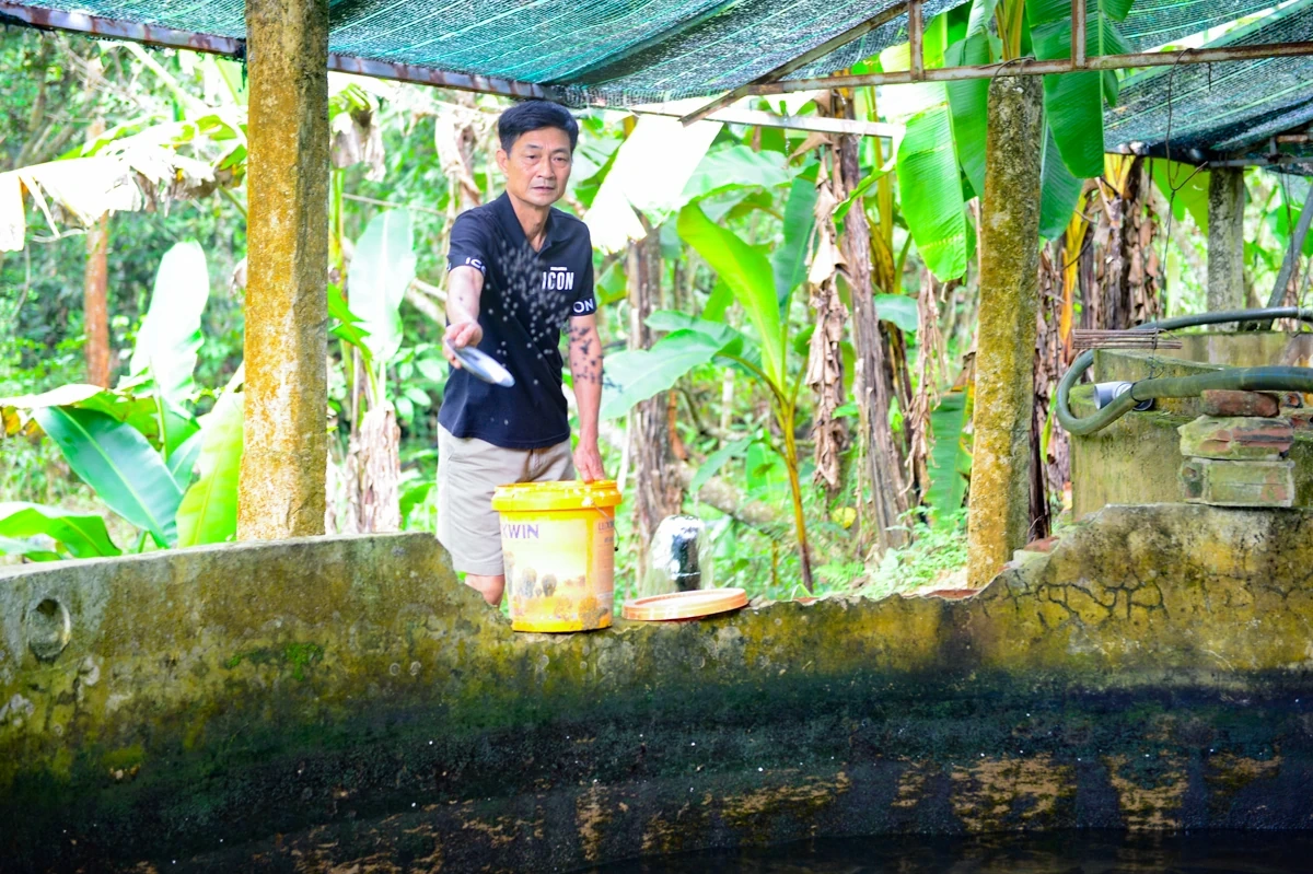 Người đàn ông chi tiền tỷ dẫn nước từ đỉnh Pù Rinh nuôi cá tầm