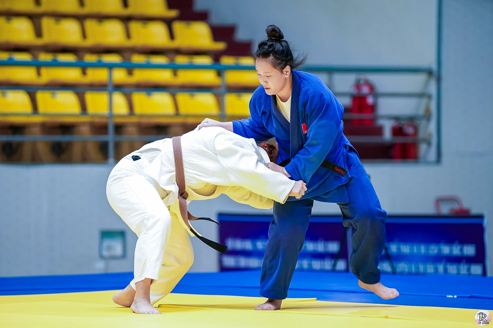 Judo trẻ Thanh Hóa nỗ lực khẳng định mình ở sân chơi Đông Nam Á