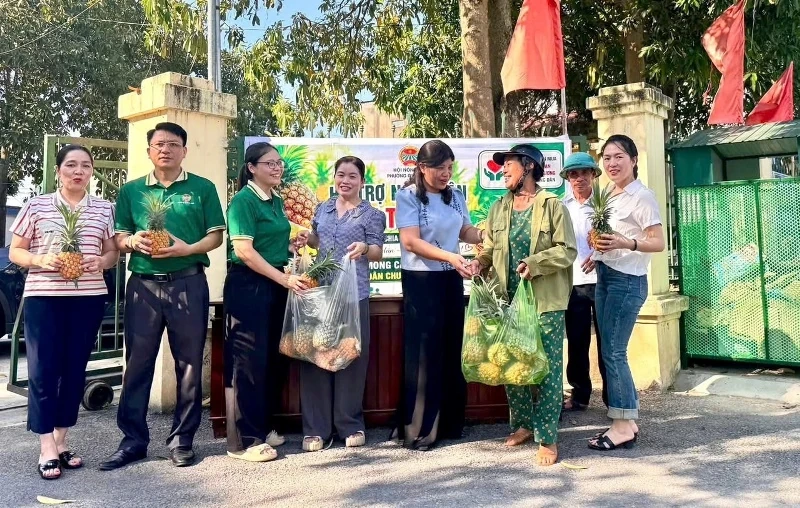 Đồng hành cùng nông dân tiêu thụ dứa