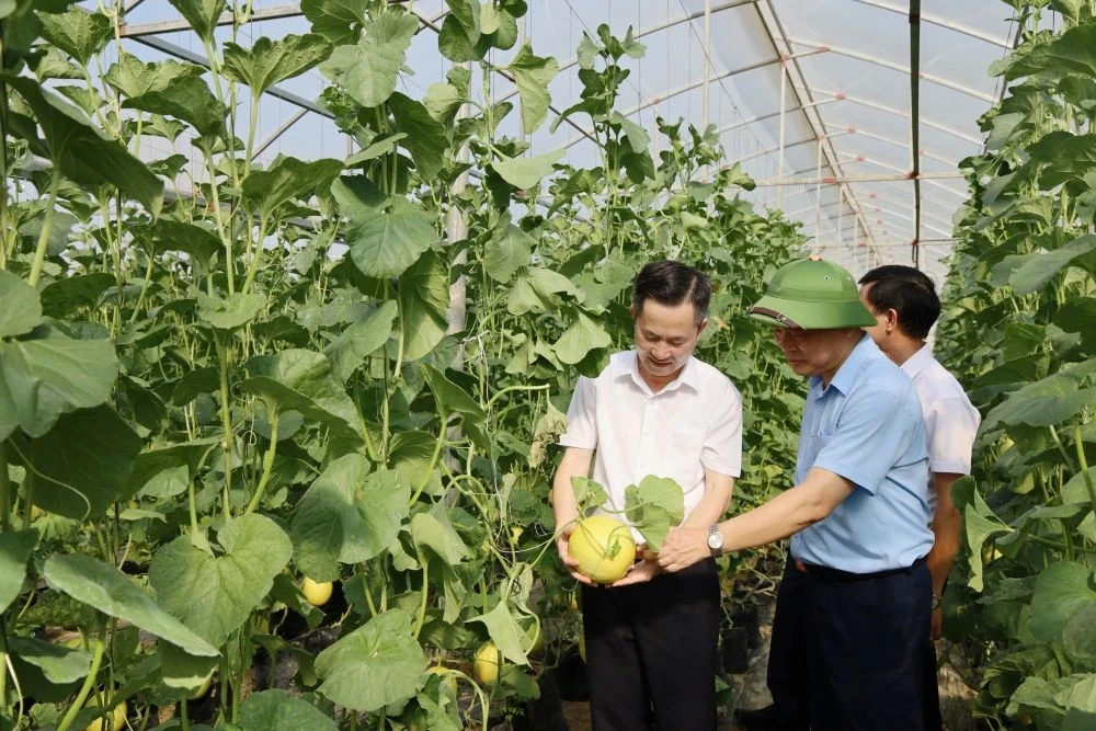 Phóng viên nhiều cơ quan báo chí đi thực tế và tìm hiểu thông tin tại xã Thọ Lập