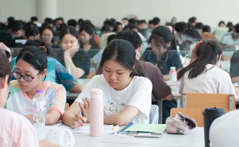 Mùa hè ở thư viện