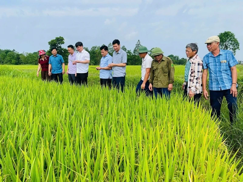 Yên Định đưa nghị quyết vào cuộc sống bằng hành động cụ thể