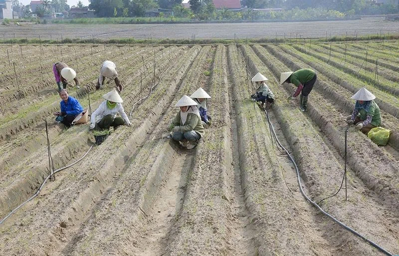 “Đòn bẩy” để nông nghiệp phát triển