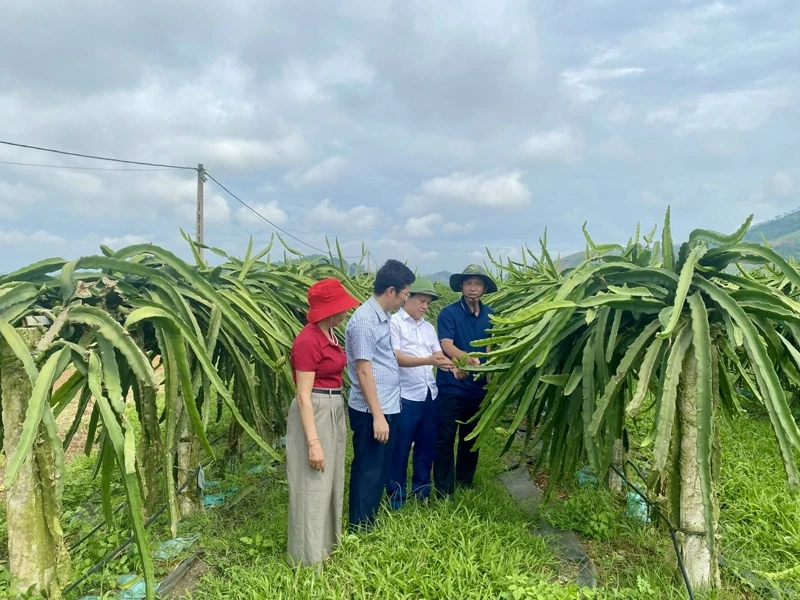 Nguyệt Ấn nỗ lực “xóa trắng” sản phẩm OCOP