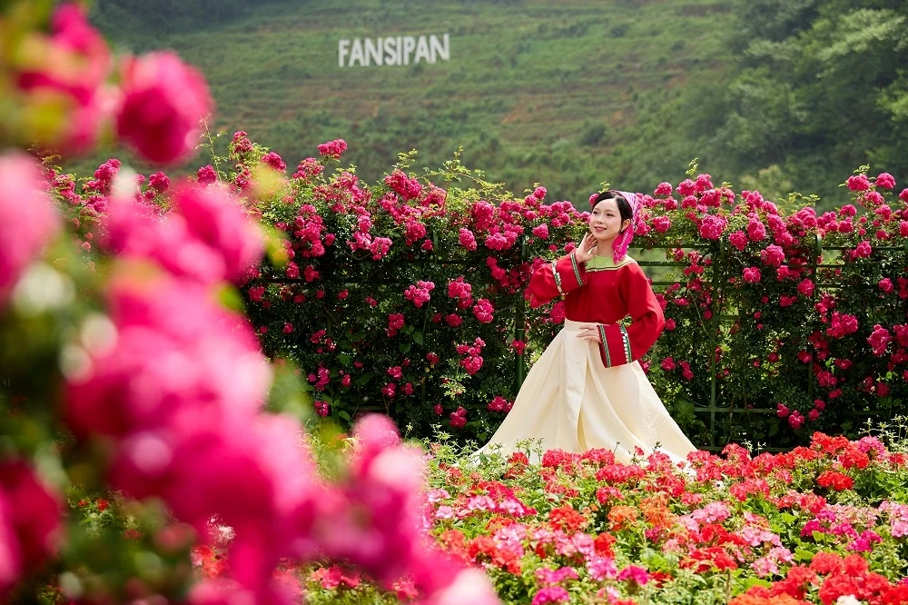 Khám phá “ốc đảo mát lạnh” của miền Bắc tại Sa Pa mùa hè này