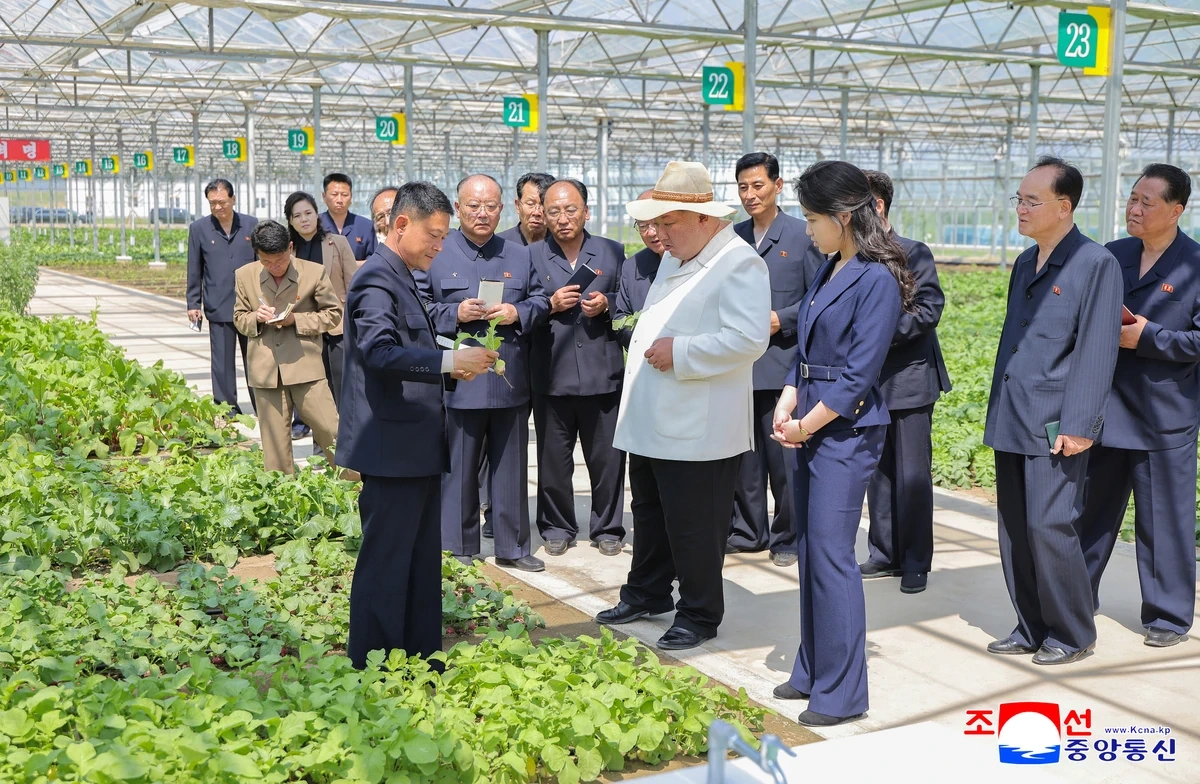 Nhà lãnh đạo Triều Tiên thị sát khu nhà kính quy mô lớn tại Sinuiju