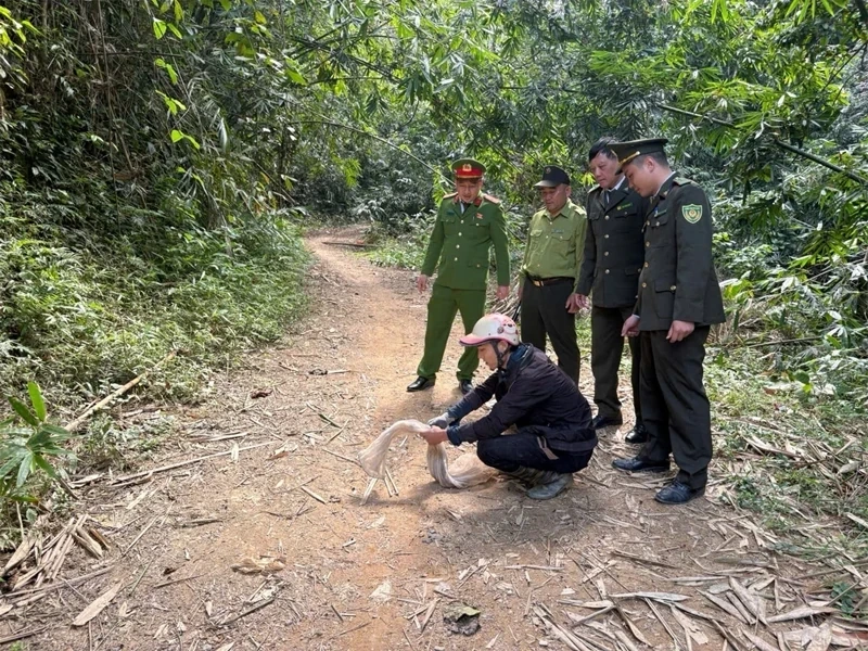 Tăng cường quản lý, bảo vệ các loài động vật hoang dã, nguồn lợi thủy sản