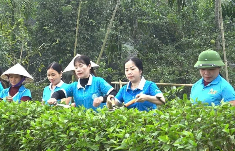 Nghe hội viên nói, nói hội viên hiểu, làm hội viên tin