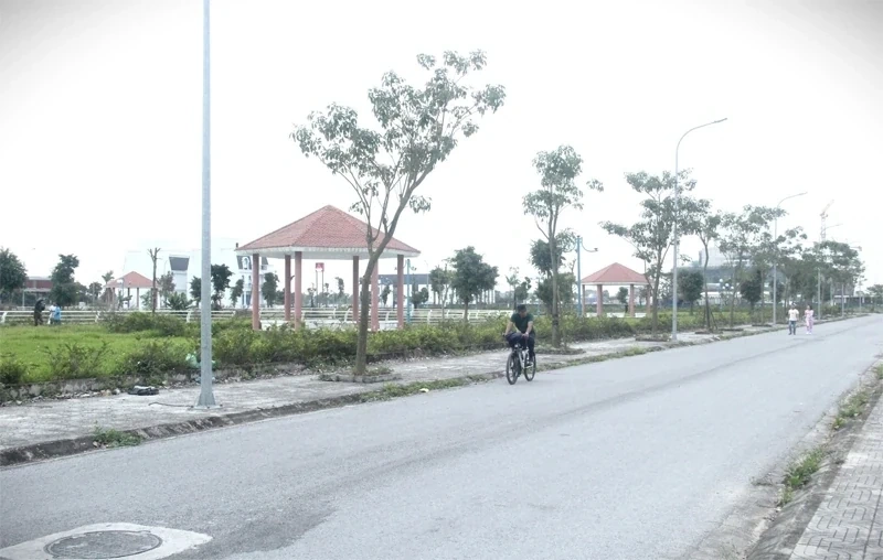 Đẩy nhanh tiến độ thực hiện các dự án đầu tư có sử dụng đất trên địa bàn tỉnh