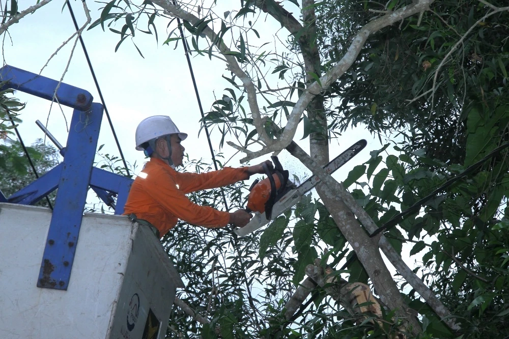 Phường Hàm Rồng ra quân giải phóng hành lang an toàn lưới điện 
