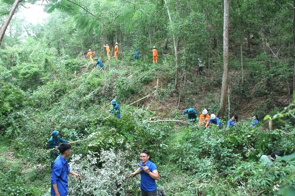 Phường Hàm Rồng ra quân giải phóng hành lang an toàn lưới điện 