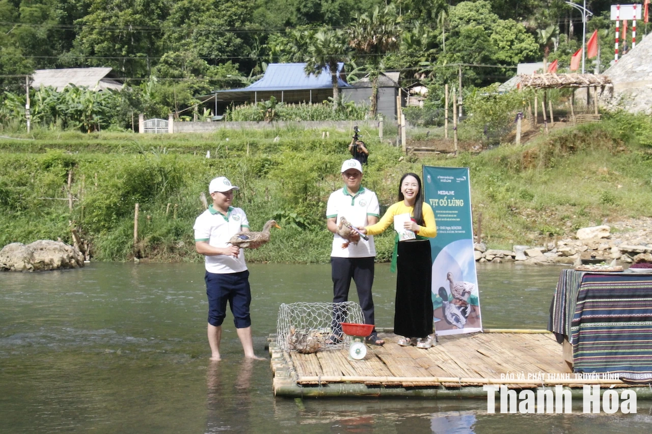 Quảng bá, kết nối tiêu thụ vịt Cổ Lũng trên các nền tảng mạng xã hội