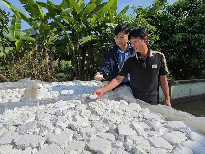 Những nông dân truyền cảm hứng (Bài 2): Người “thắp lửa” trên đồng đất quê hương