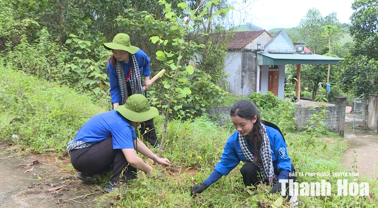 Tuổi trẻ xứ Thanh và khát vọng cống hiến