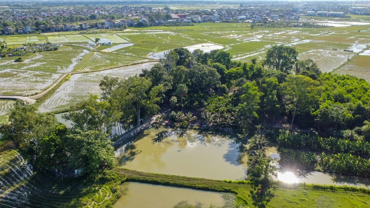 Cận cảnh ngôi đền cổ tại Thanh Hóa mới được phê duyệt dự án khai quật