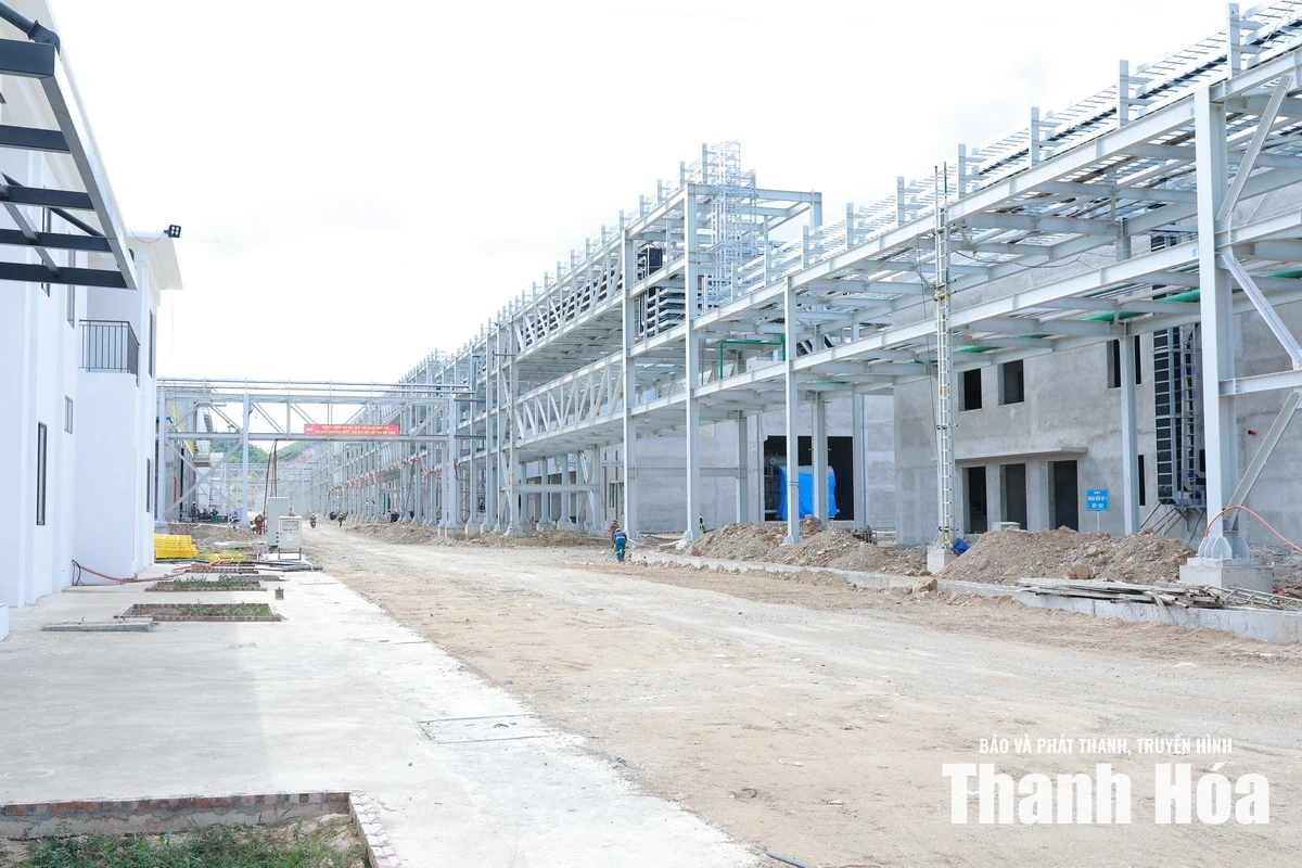 Bí thư Tỉnh ủy Lê Đức Thái kiểm tra tiến độ các dự án trọng điểm tại Khu Kinh tế Nghi Sơn
