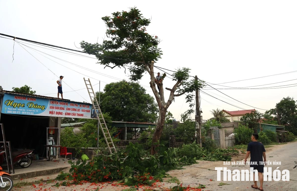 Bàn giao mặt bằng trước khi nhận bồi thường, dự án ĐT.525 sẵn sàng khởi công