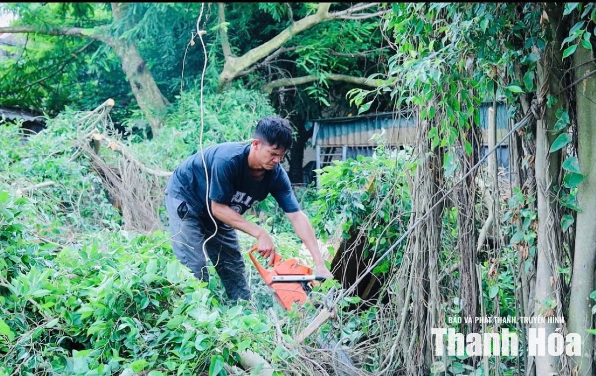 Bàn giao mặt bằng trước khi nhận bồi thường, dự án ĐT.525 sẵn sàng khởi công