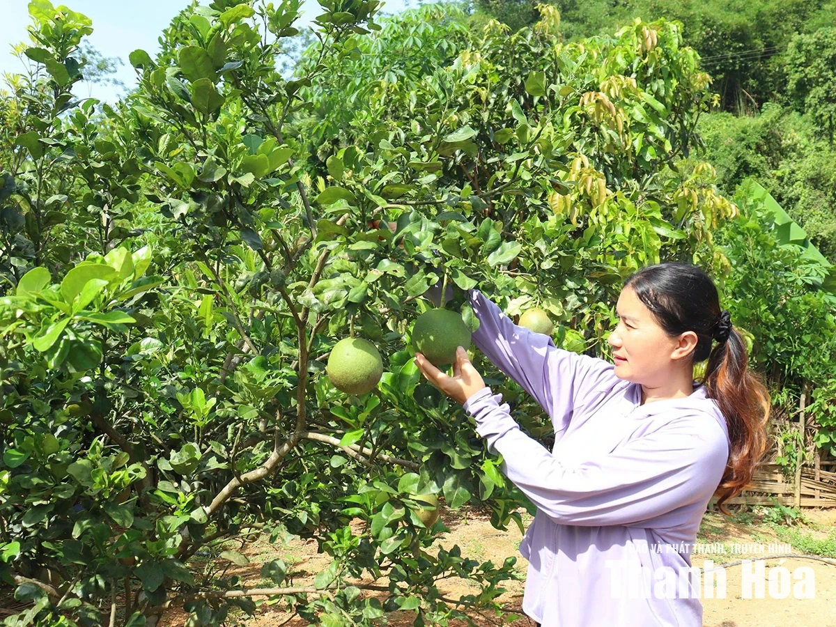 Đổi thay ở bản Làng